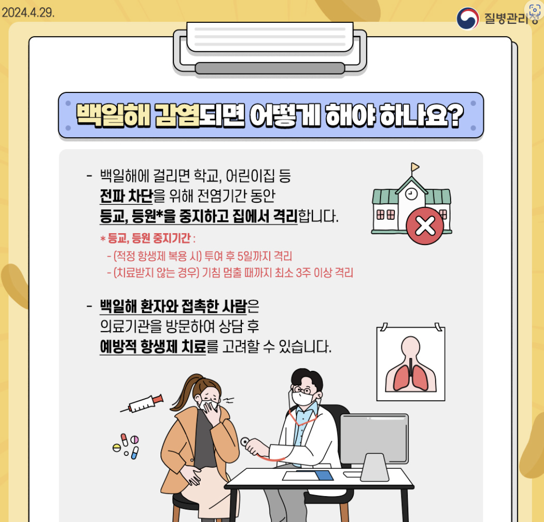 백일해 감염