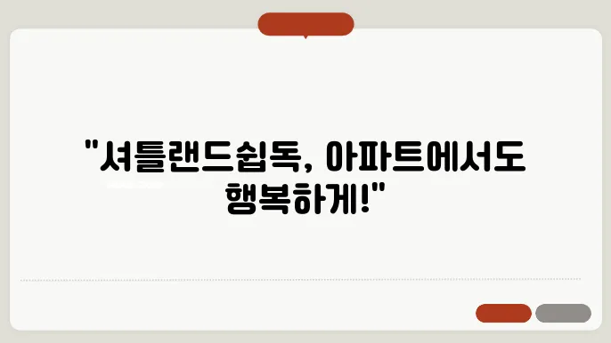 셔틀랜드쉽독 아파트에서 키우기