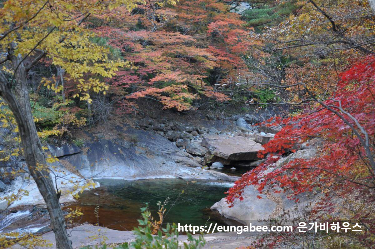 경상지역 단풍명소