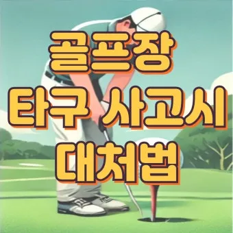 골프 임팩트 손맛 살리는 압축 타구 비결_12