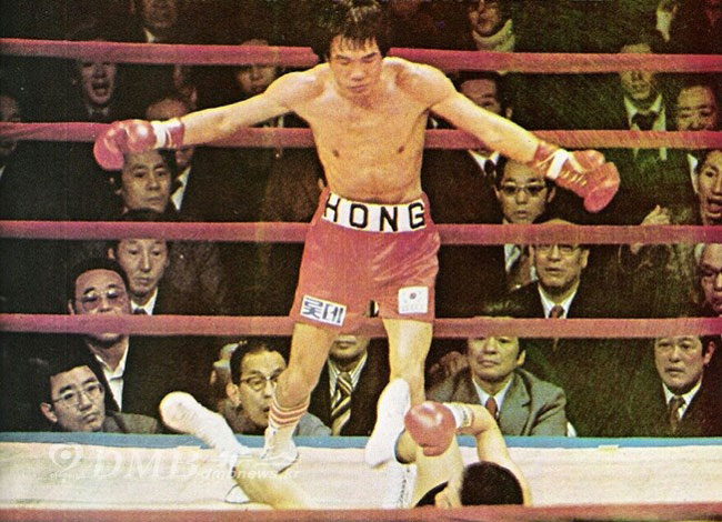 역대 한국인 복싱 세계 챔피언 명단과 스토리 관련 사진