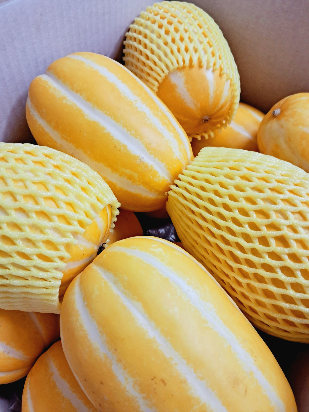 여름 과일 참외