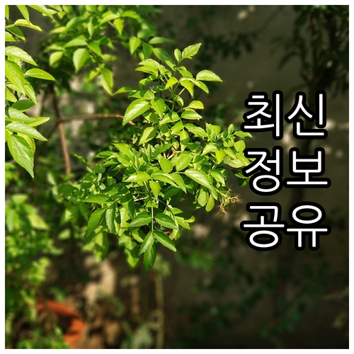 폐기물 스티커 없이? 구로 대형폐기물..