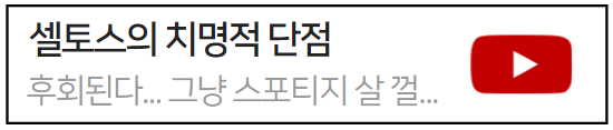셀토스단점
