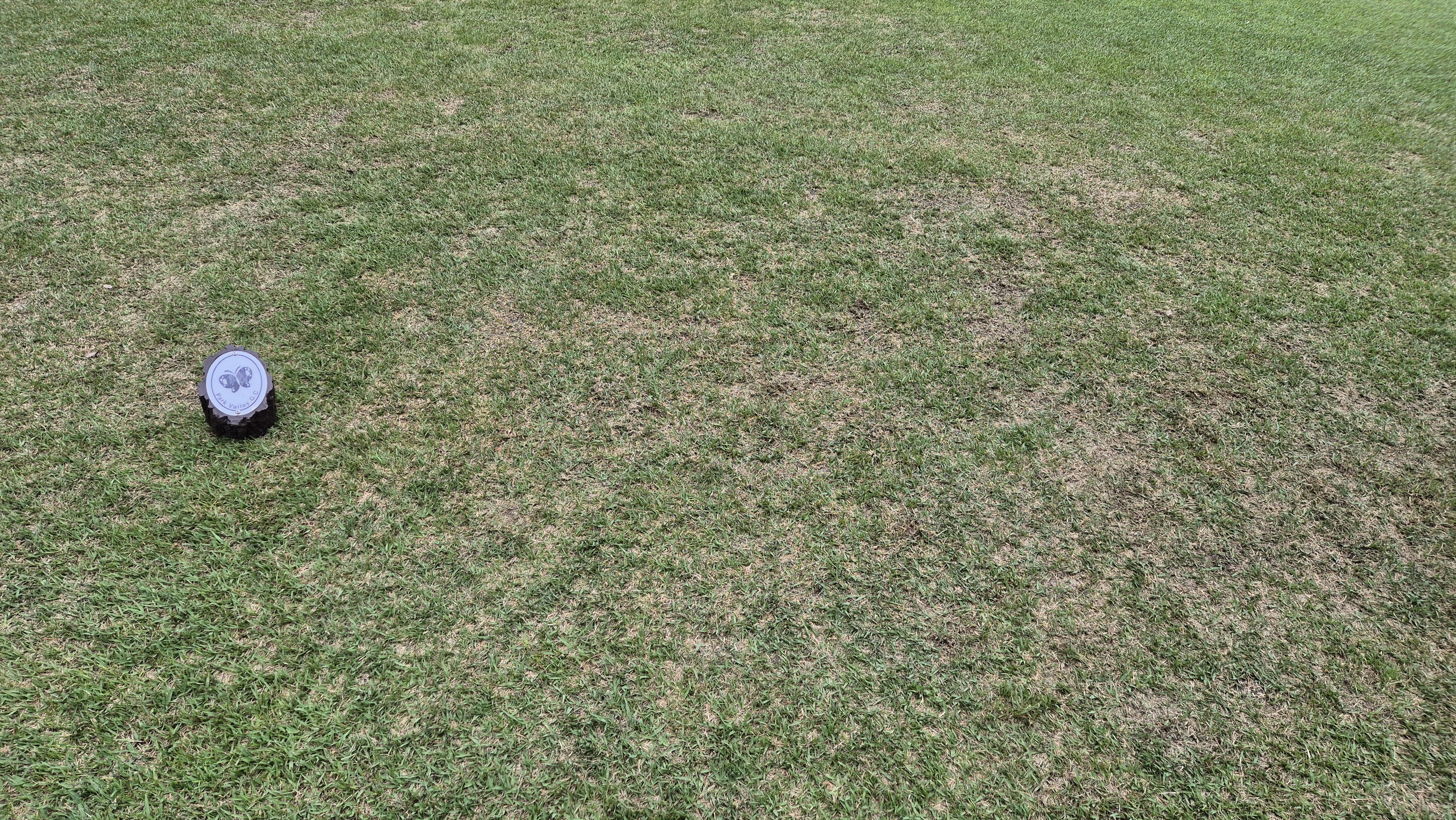 파크밸리gc 라운드 후기