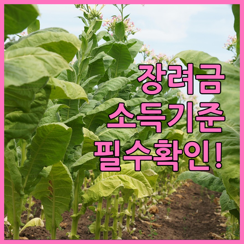 자녀장려금 소득인정액 산정 기준..