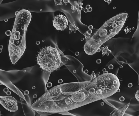 생활 환경균 때문에 집이 답답하게 느껴질 때 확인할 것