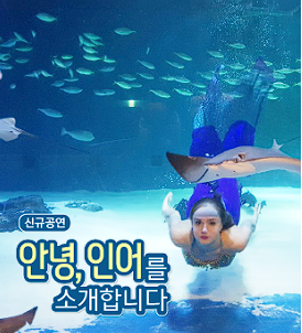 대구 아쿠아리움 입장료 할인
