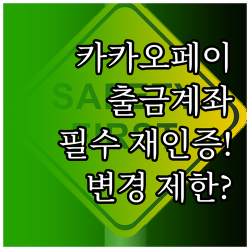 카카오페이 출금계좌 안전 관리 재인증..