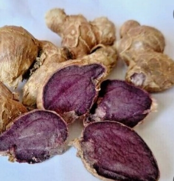 파비플로라 효능