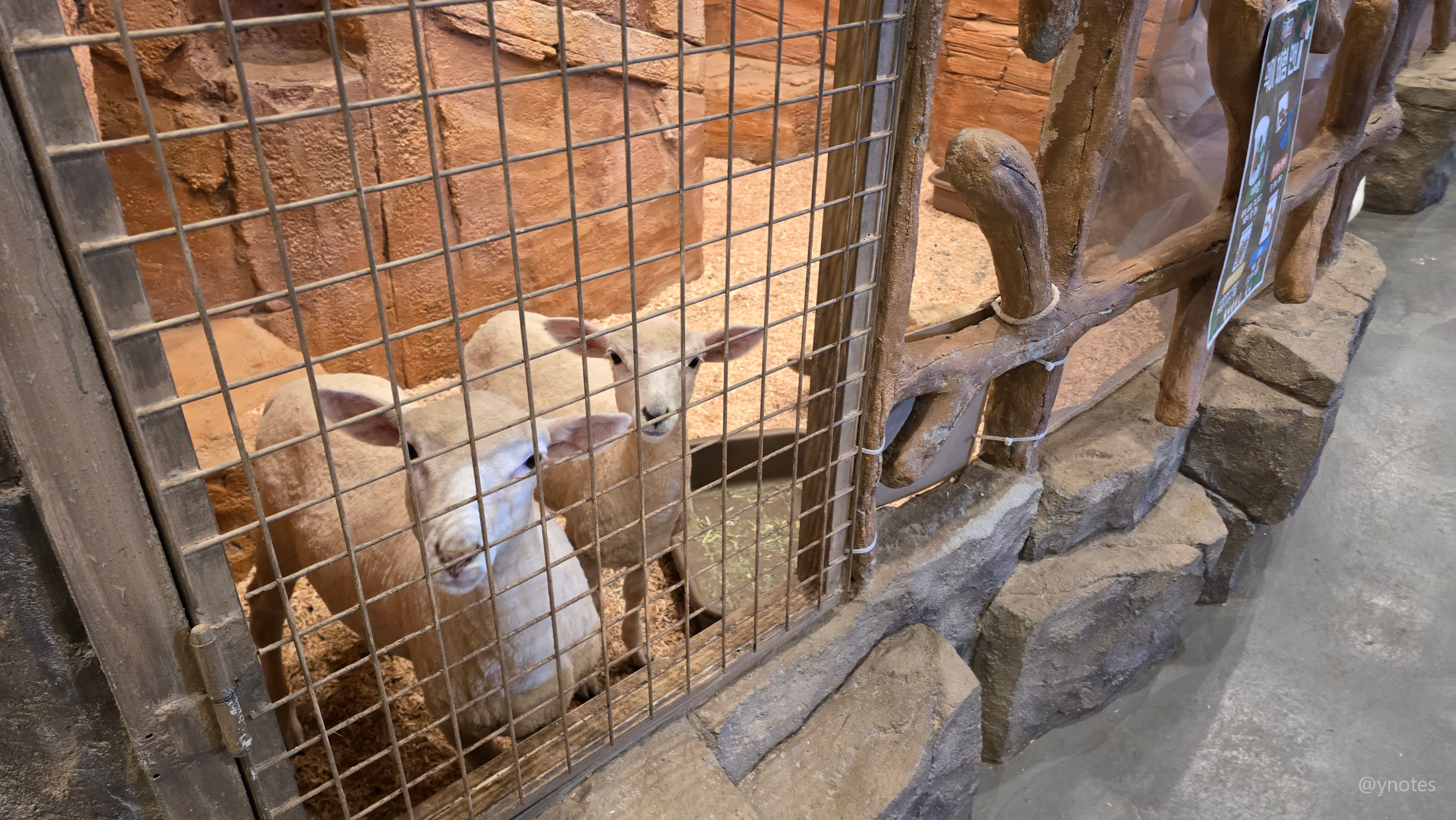 쥬뗌므 키즈랜드