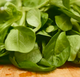 골다공증에 좋은 음식 영양제 식단