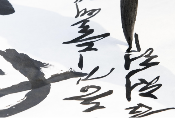 타이핑이 놓치는 지능의 한 조각: 필사와 손글씨가 전두엽을 깨우는 과학적 원리