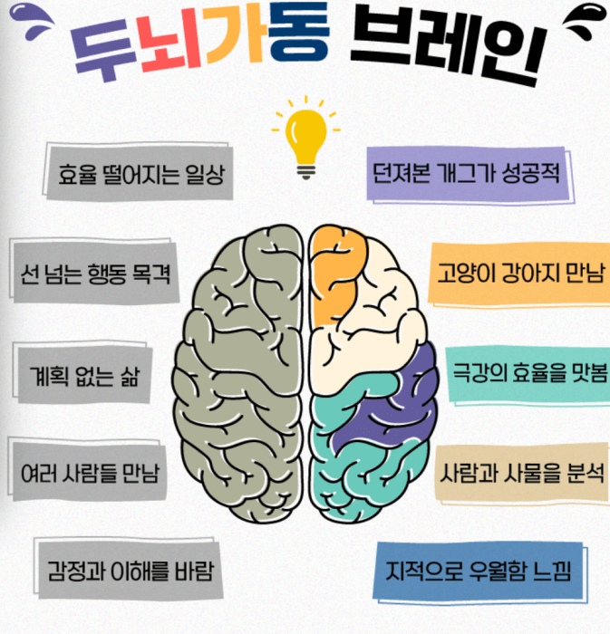 두뇌-가동-브레인