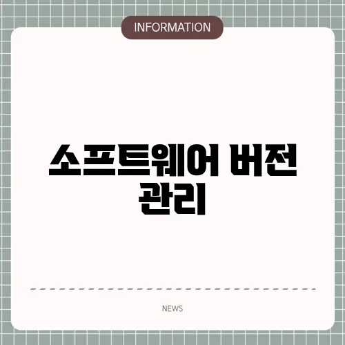 소프트웨어 버전 관리