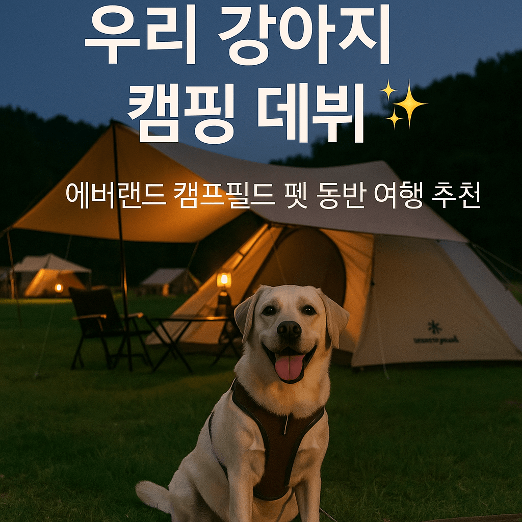 스노우피크 에버랜드 캠프필드에서 반려견과 함께 즐기는 감성 캠핑 여행