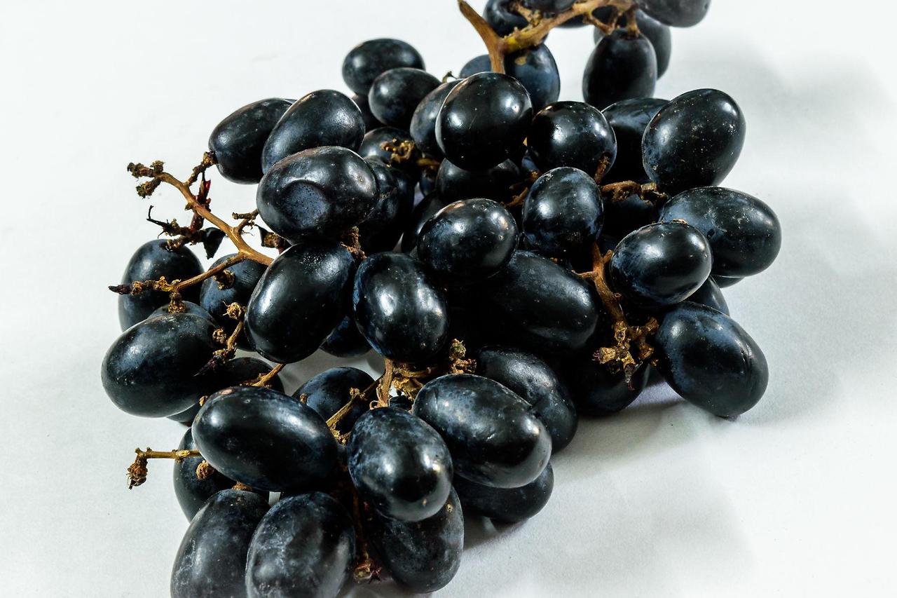 안토시아닌의 효능 비타민E