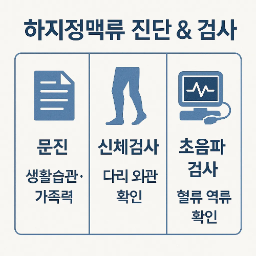 하지정맥류 진단과 검사 과정에 대해 문진, 신체검사, 초음파 검사를 통해 생활습관, 가족력, 다리 외관, 혈류 역류 여부를 확인하는 과정을 설명한 인포그래픽입니다.