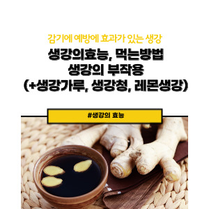 생강의 효능