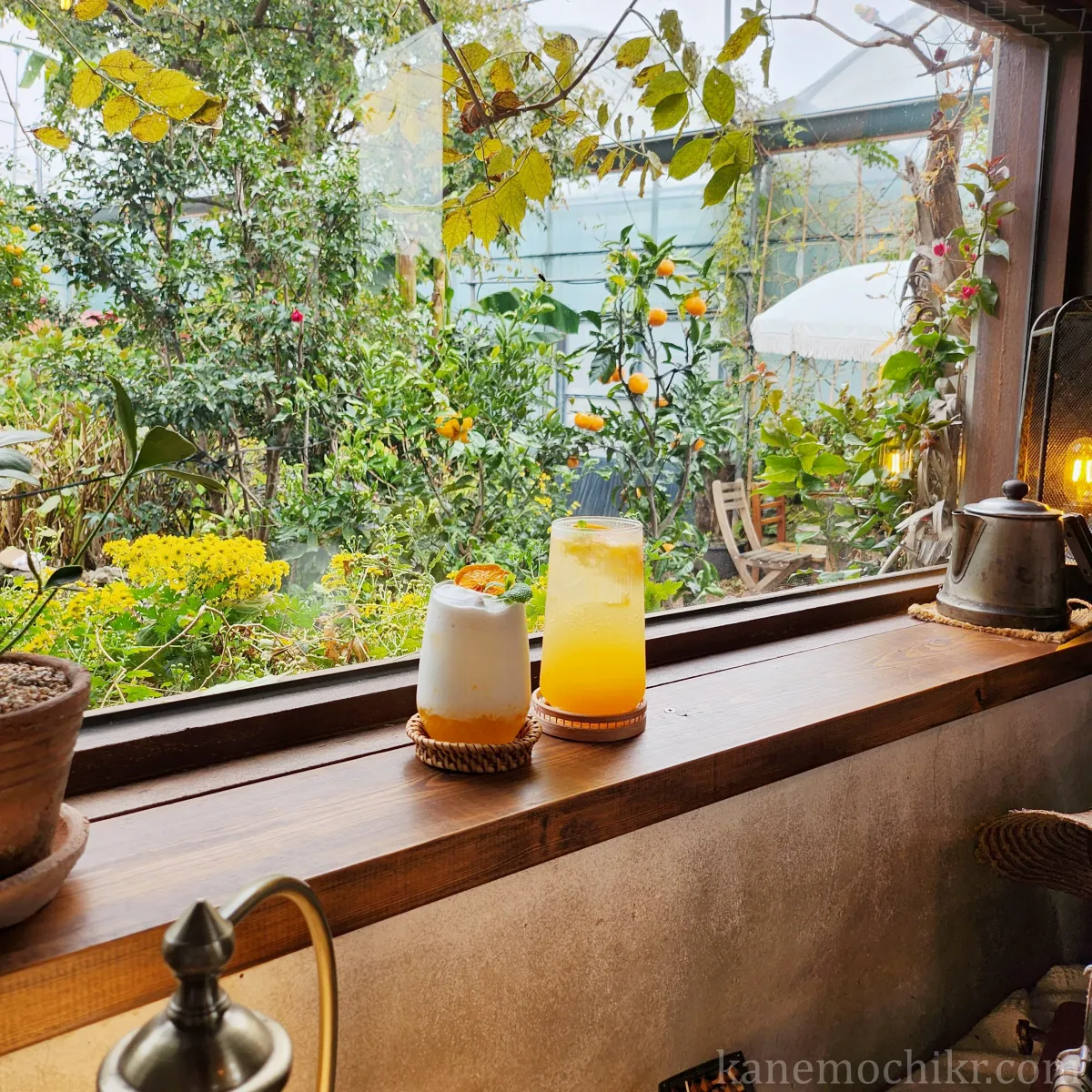 귤꽃다락카페-귤라떼-귤에이드