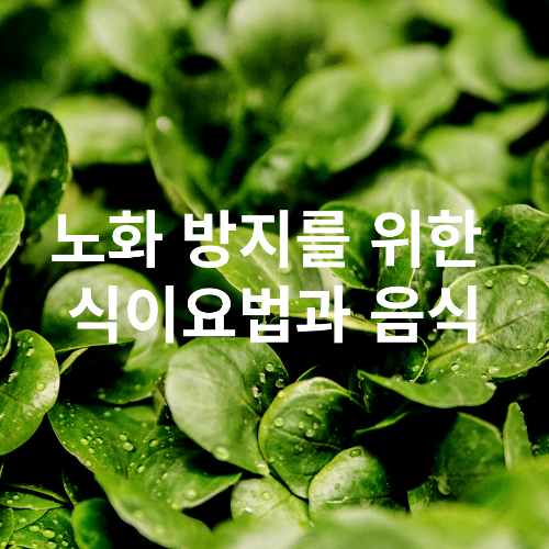 노화 방지를 위한 식이요법과 음식