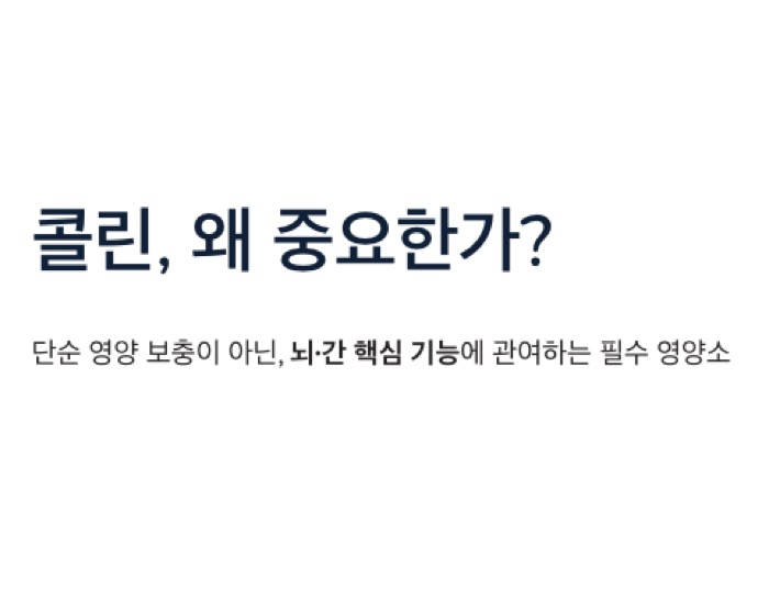 콜린 중요한 이유