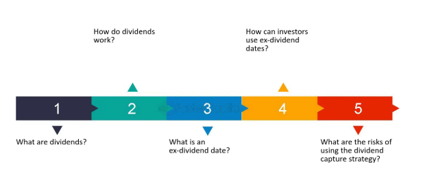 배당금 기본 개념
