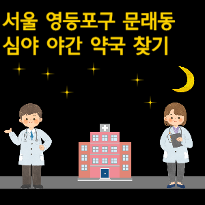 서울 영등포구 문래동 심야 야간 24시 약국 찾기