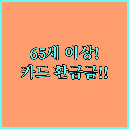 생활비 아끼는 65세 이상 모두의 카..