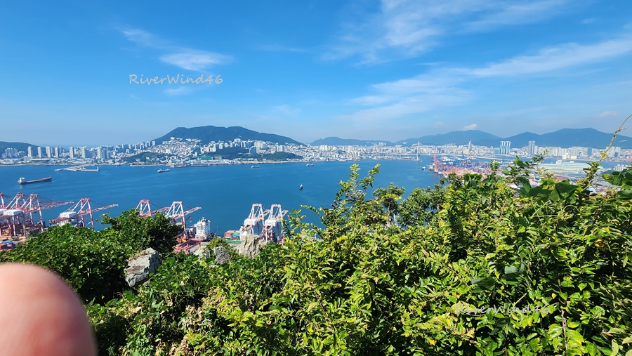 신선대 무제등(無帝嶝)에서 보는 북항