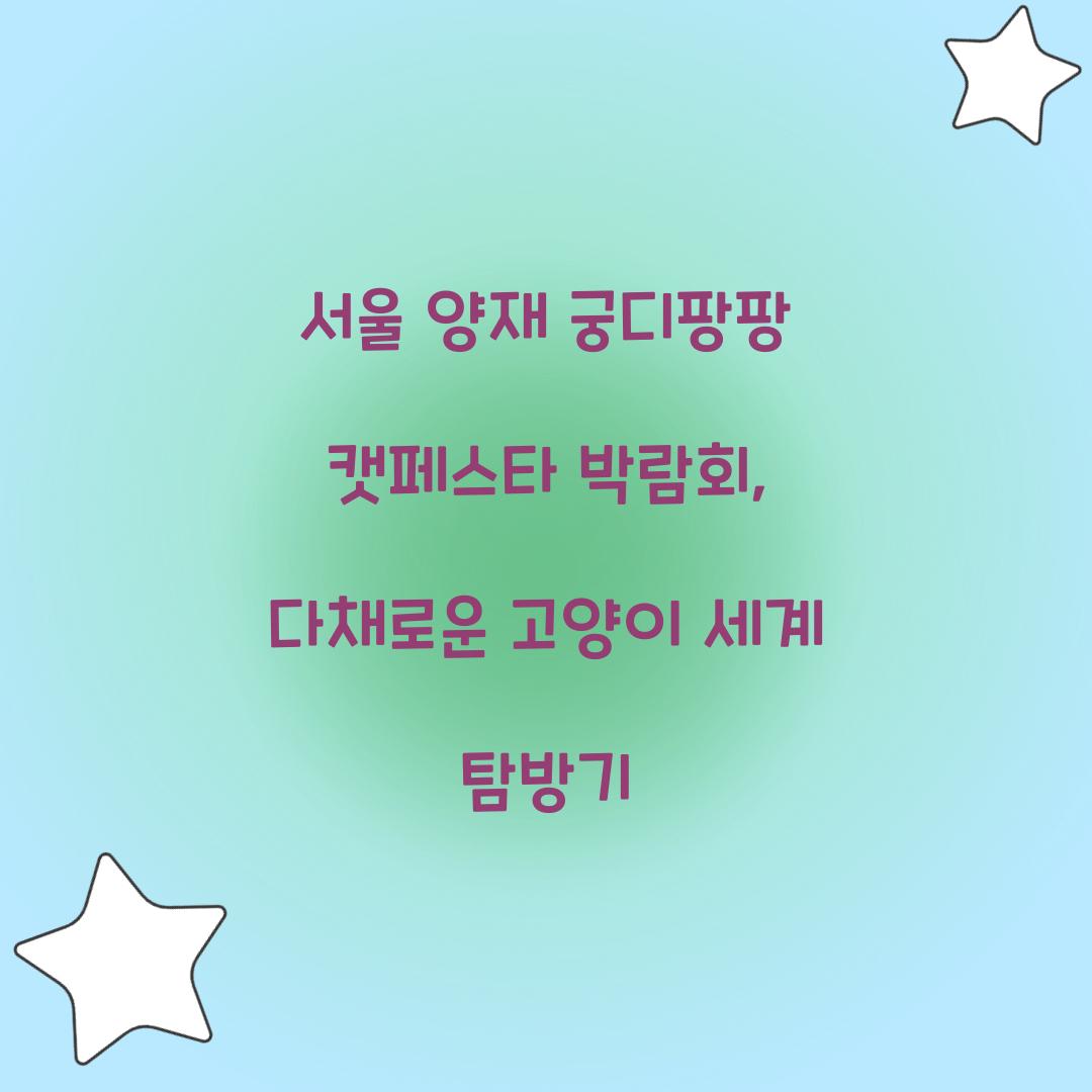 서울 양재 궁디팡팡 캣페스타 박람회