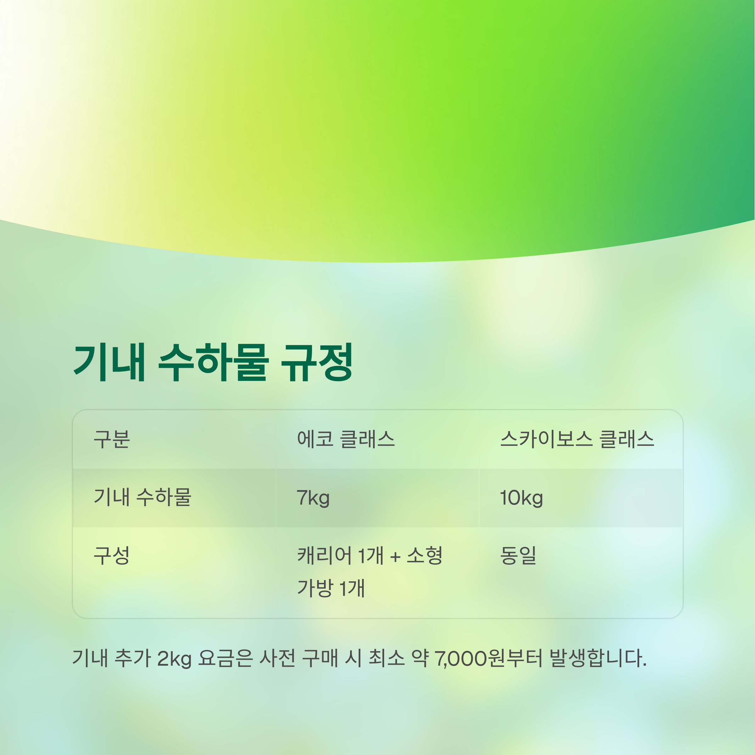 기내 수하물 규정