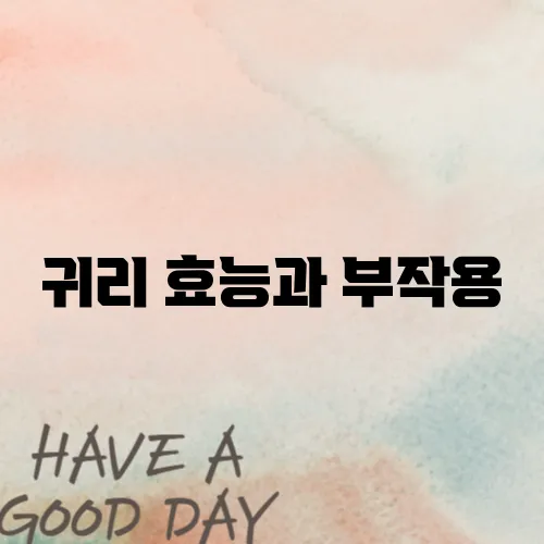 귀리 효능과 부작용
