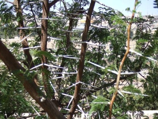 올네이션스목자의기도원