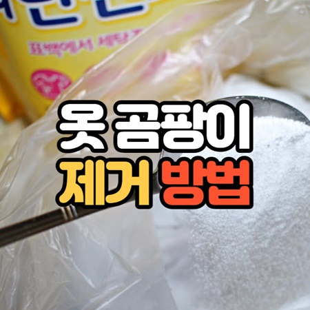 옷 곰팡이 제거