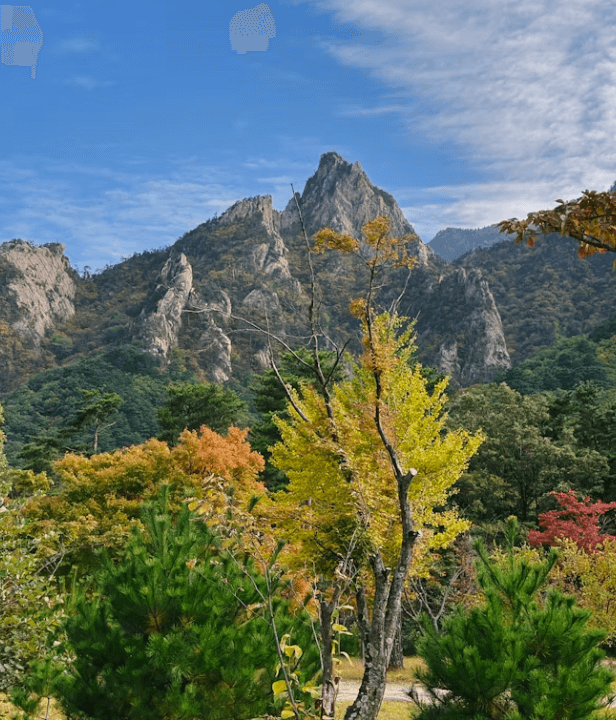 강원도 여행 4만원 돌려받는 법 선착순 꿀팁