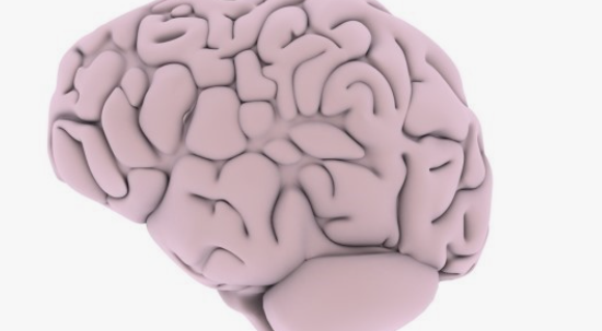 글루타민의 효능 효과와 L -글루타민 그리고 글루타민의 부작용