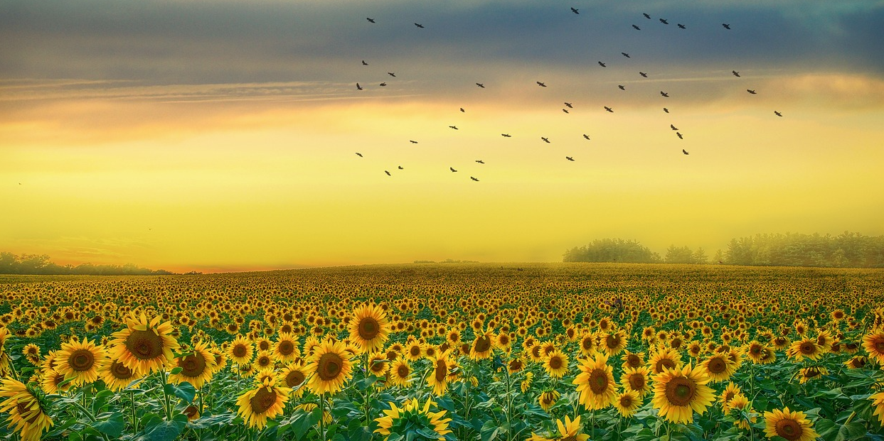 1인 창업 지원금