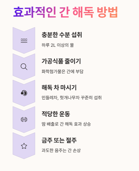 효과적인 간 해독 방법