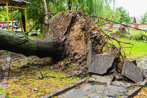 2025년 경기도청 풍수해·지진재해보험 완벽 가이드: 신청 방법부터 지원 혜택까지!!