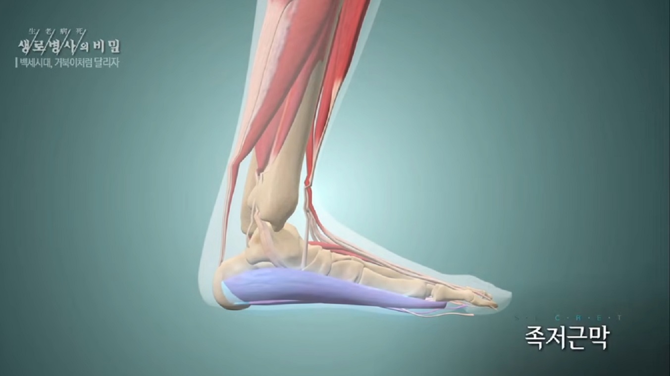 정형외과-최기원-교수