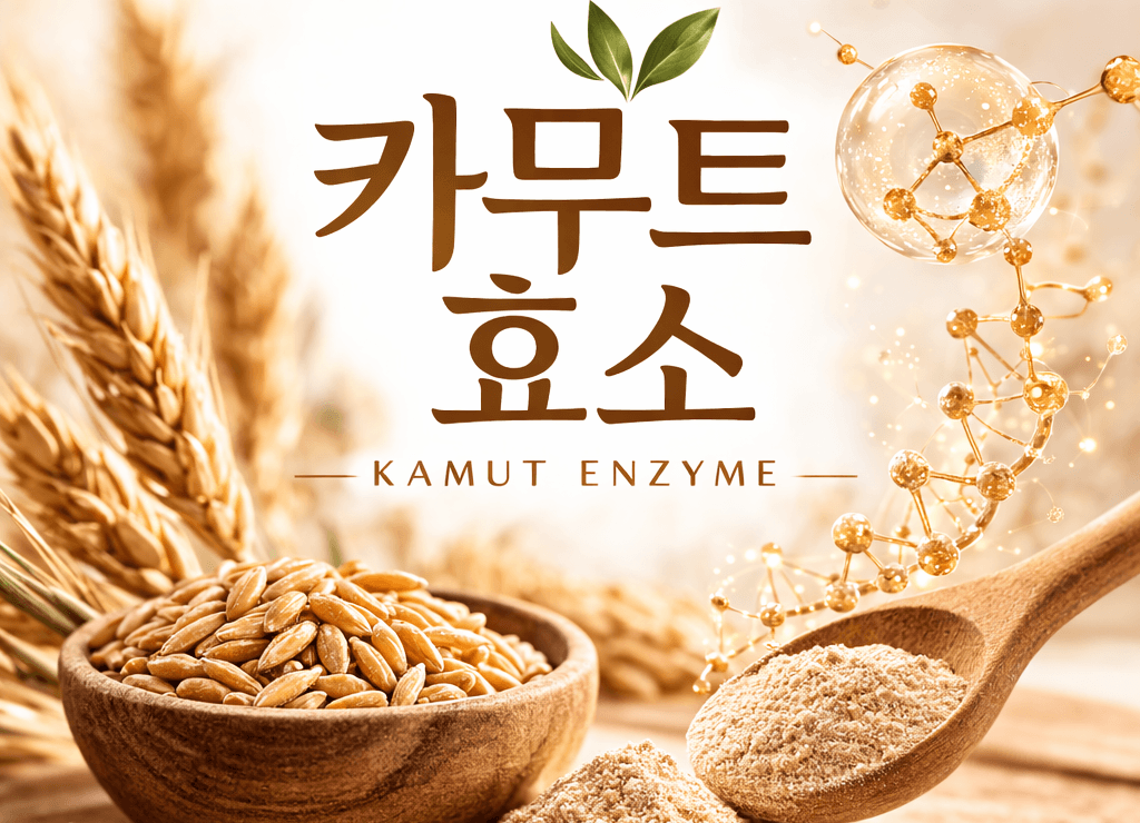 역류성 식도염 증상 이것만 알면 끝