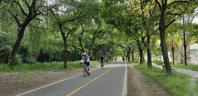 한강 자전거길 전경 사진