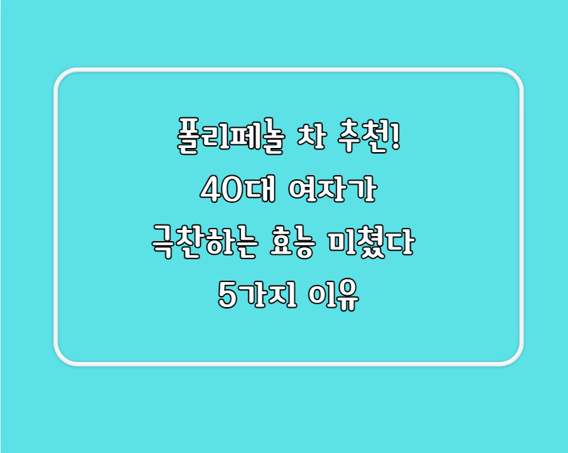 폴리페놀 차 추천!