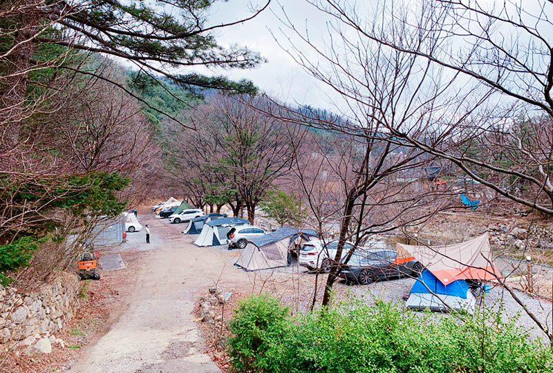 힐링별밤수목원캠핑장 소개