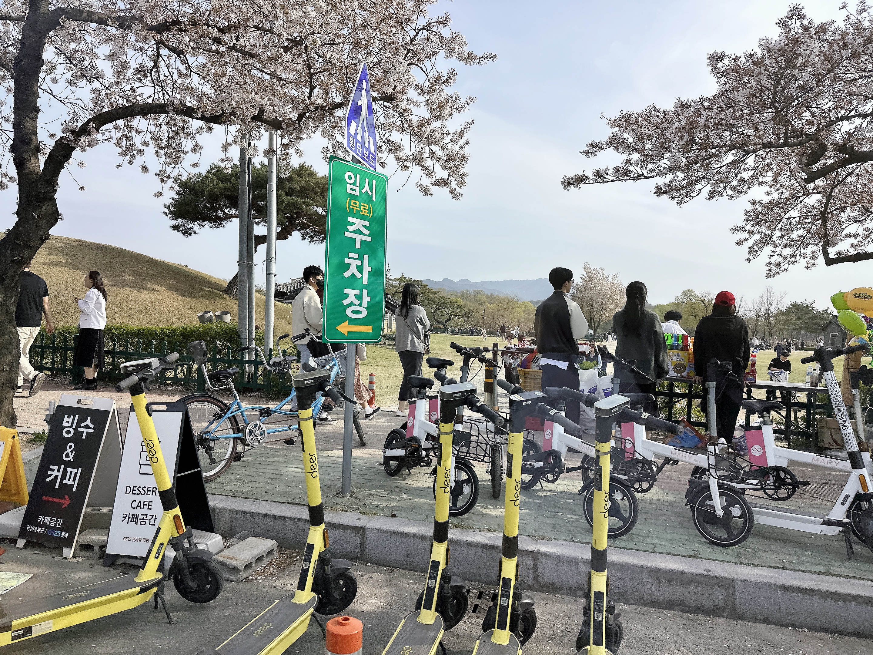 2025년 경주 벚꽃 개화 시기 및 명소 추천