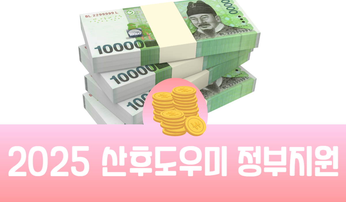 2025 산후도우미 정부지원