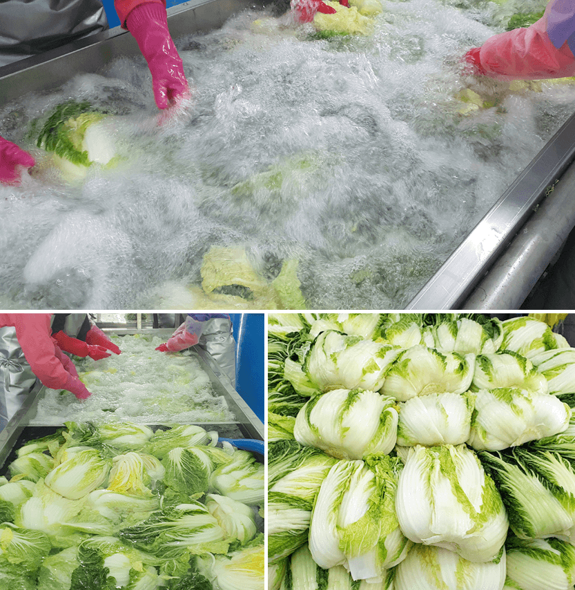 해남 절임배추 20kg 사전예약 가격비교