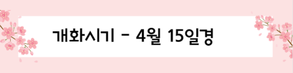 봄꽃 여행지