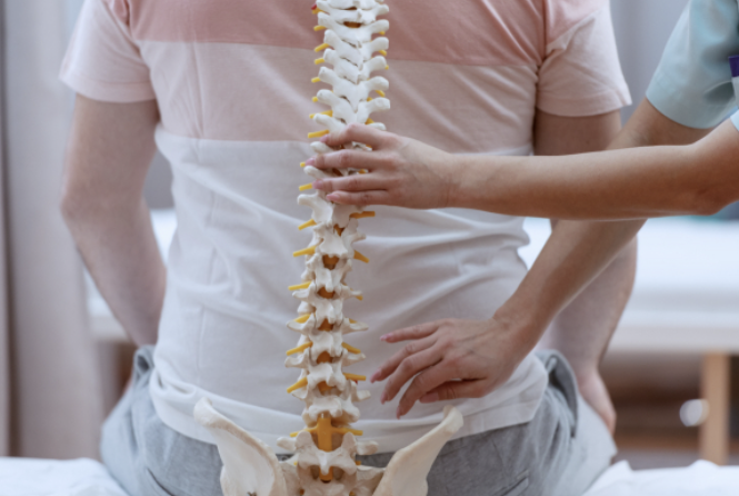 척추측만증에 대한 완전 정보와 관리 방법